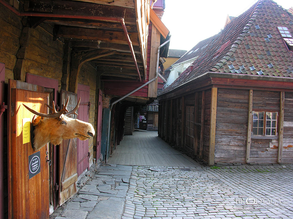 Bergen